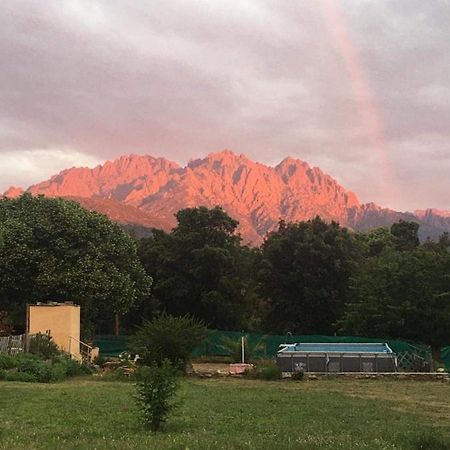 Отель Le Coin Tranquille Morosaglia Экстерьер фото