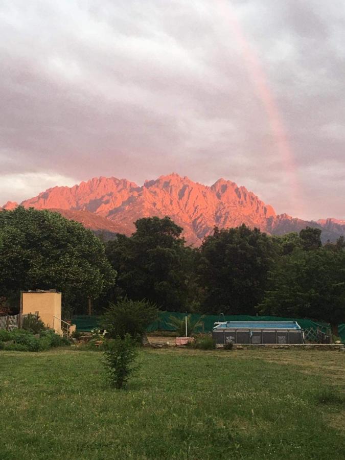 Отель Le Coin Tranquille Morosaglia Экстерьер фото